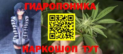 эйфоретик Шелехов