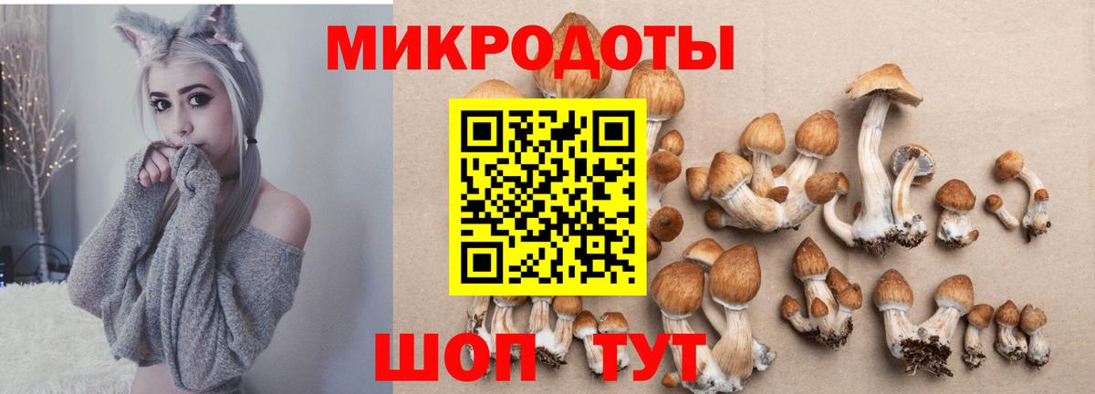 Галлюциногенные грибы Psilocybe  Вход с VPN  Дубна 